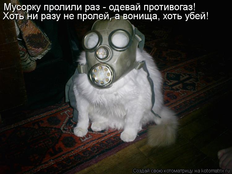 Мусорку пролили раз - одевай противогаз! Хоть ни разу не пролей, а вонища, хоть убей!... Котоматрица: Мусорку пролили раз - одевай противогаз! Хоть ни разу не пролей, а вонища, хоть убей!