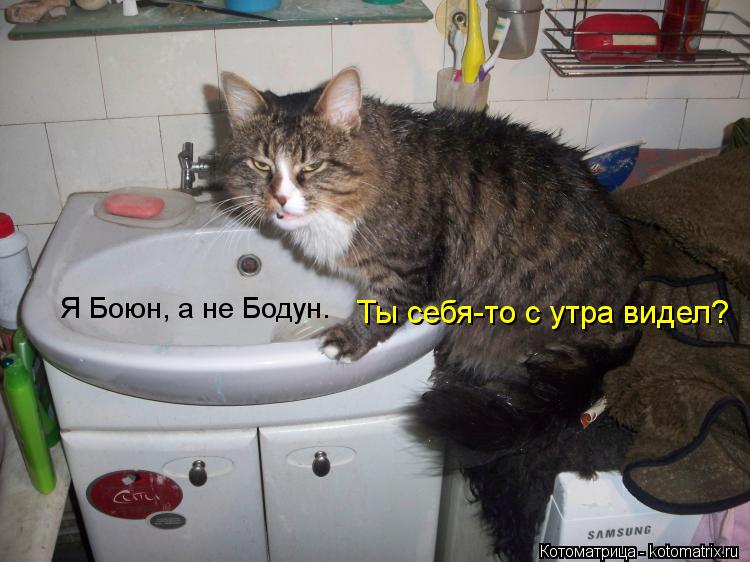 Я Боюн, а не Бодун. Ты себя-то с утра видел?... Котоматрица: Я Боюн, а не Бодун. Ты себя-то с утра видел?