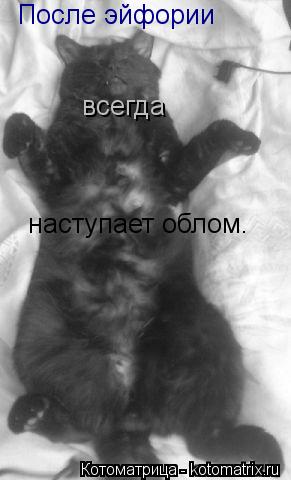 Котоматрица: После эйфории   всегда наступает облом.