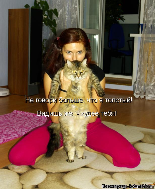 Не говори больше, что я толстый! Видишь же, - худее тебя!... Котоматрица: Не говори больше, что я толстый! Видишь же, - худее тебя!