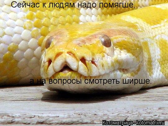 Сейчас к людям надо помягше, а на вопросы смотреть ширше.... Котоматрица: Сейчас к людям надо помягше, а на вопросы смотреть ширше.