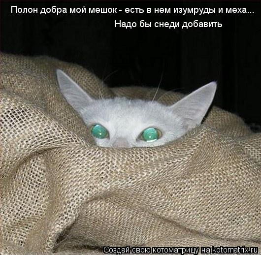 Полон добра мой мешок - есть в нем изумруды и меха... Надо бы снеди добавить Надо бы снеди добавить... Котоматрица: Полон добра мой мешок - есть в нем изумруды и меха... Надо бы снеди добавить Надо бы снеди добавить