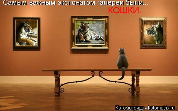 Самым важным экспонатом галереи были... КОШКИ.... Котоматрица: Самым важным экспонатом галереи были... КОШКИ.
