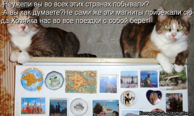 -Неужели вы во всех этих странах побывали? -А вы как думаете?Не сами же эти магниты прибежали сю- да!... Котоматрица: -Неужели вы во всех этих странах побывали? -А вы как думаете?Не сами же эти магниты прибежали сю- да!Хозяйка нас во все поездки с собой берёт!