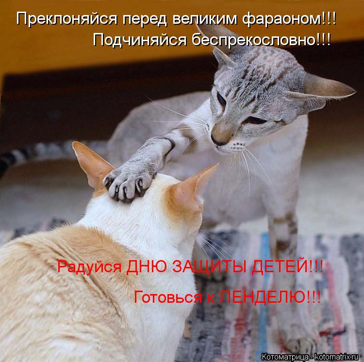Преклоняйся перед великим фараоном!!! Радуйся ДНЮ ЗАЩИТЫ ДЕТЕЙ!!! Подчиняйся беспрекословно!!! Готовь... Котоматрица: Преклоняйся перед великим фараоном!!! Радуйся ДНЮ ЗАЩИТЫ ДЕТЕЙ!!! Подчиняйся беспрекословно!!! Готовься к ПЕНДЕЛЮ!!!