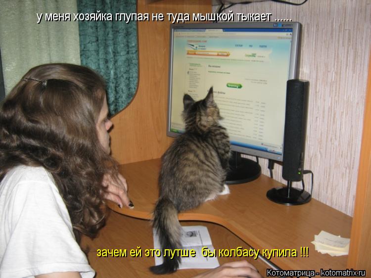 у меня хозяйка глупая не туда мышкой тыкает ...... зачем ей это лутше бы колбасу купила !!!... Котоматрица: у меня хозяйка глупая не туда мышкой тыкает ...... зачем ей это лутше бы колбасу купила !!!