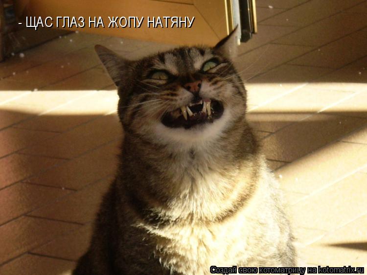 - ЩАС ГЛАЗ НА ЖОПУ НАТЯНУ... Котоматрица: - ЩАС ГЛАЗ НА ЖОПУ НАТЯНУ