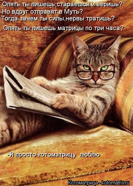 Опять ты пишешь,стараешся и веришь? Но вдруг отправят в Муть? Тогда зачем ты силы,нервы тратишь? Опят... Котоматрица: Опять ты пишешь,стараешся и веришь? Но вдруг отправят в Муть? Тогда зачем ты силы,нервы тратишь? Опять ты пишешь матрицы по три часа? -Я прост