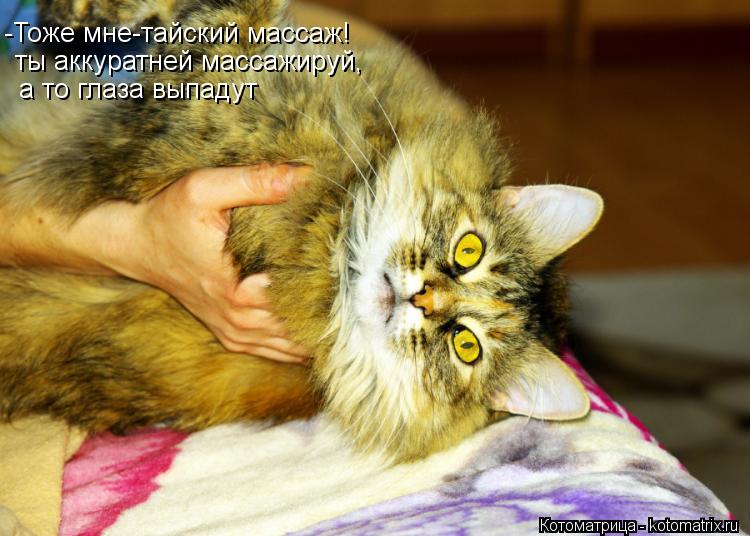 -Тоже мне-тайский массаж! ты аккуратней массажируй, а то глаза выпадут... Котоматрица: -Тоже мне-тайский массаж! ты аккуратней массажируй, а то глаза выпадут