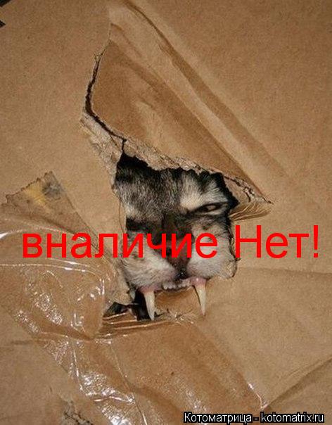 вналичие Нет!... Котоматрица: вналичие Нет!