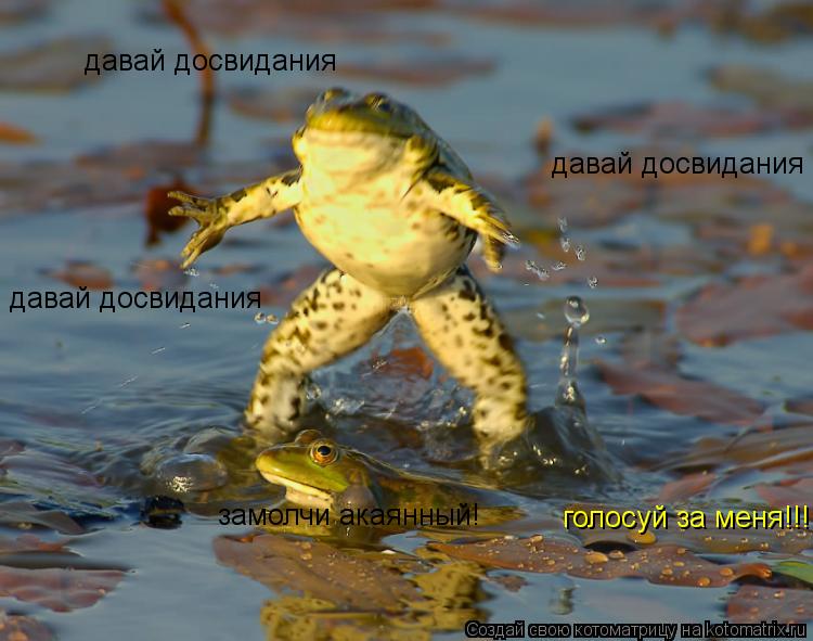давай досвидания давай досвидания замолчи акаянный! давай досвидания голосуй за меня!!!... Котоматрица: давай досвидания давай досвидания замолчи акаянный! давай досвидания голосуй за меня!!!