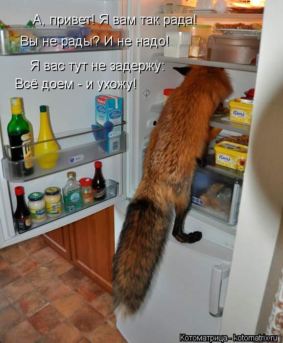 А, привет! Я вам так рада! Вы не рады? И не надо! Я вас тут не задержу: Всё доем - и ухожу!... Котоматрица: А, привет! Я вам так рада! Вы не рады? И не надо! Я вас тут не задержу: Всё доем - и ухожу!