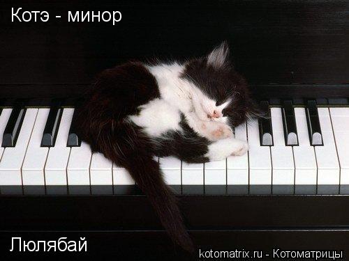 Котэ - минор Котэ - минор Люлябай Люлябай... Котоматрица: Котэ - минор Котэ - минор Люлябай Люлябай