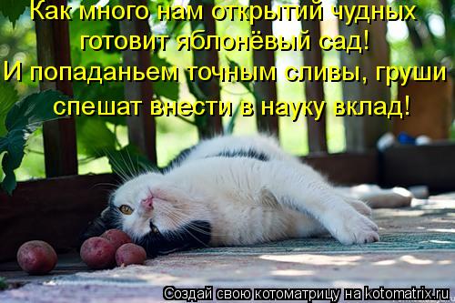 Как много нам открытий чудных И попаданьем точным сливы, груши готовит яблонёвый сад! спешат внести ... Котоматрица: Как много нам открытий чудных И попаданьем точным сливы, груши готовит яблонёвый сад! спешат внести в науку вклад!