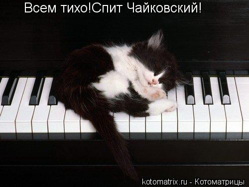 Всем тихо!Спит Чайковский!... Котоматрица: Всем тихо!Спит Чайковский!