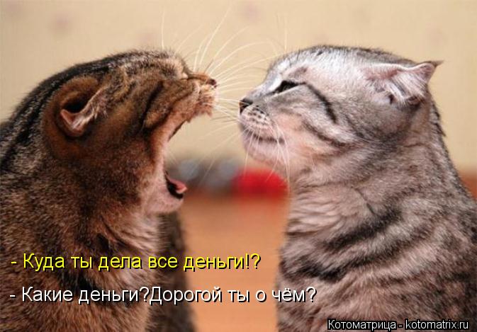 - Куда ты дела все деньги!? - Какие деньги?Дорогой ты о чём?... Котоматрица: - Куда ты дела все деньги!? - Какие деньги?Дорогой ты о чём?