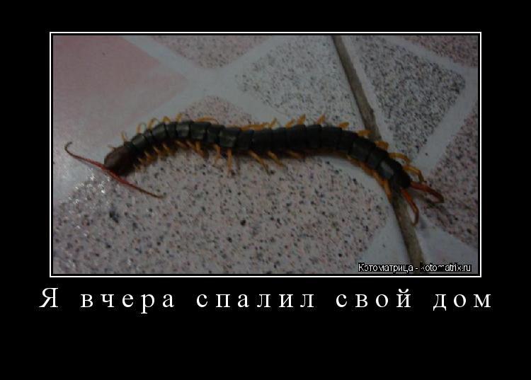 Я вчера спалил свой дом ... Котоматрица: Я вчера спалил свой дом