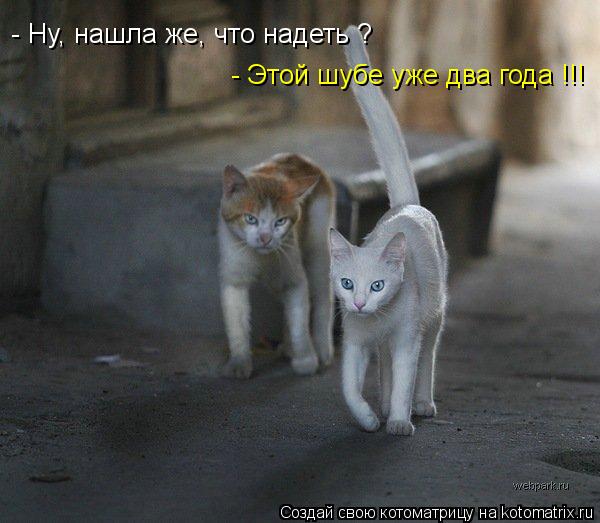 - Ну, нашла же, что надеть ? - Этой шубе уже два года !!!... Котоматрица: - Ну, нашла же, что надеть ? - Этой шубе уже два года !!!