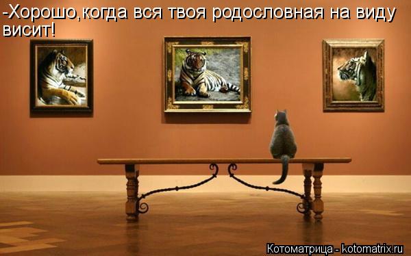 -Хорошо,когда вся твоя родословная на виду висит!... Котоматрица: -Хорошо,когда вся твоя родословная на виду висит!