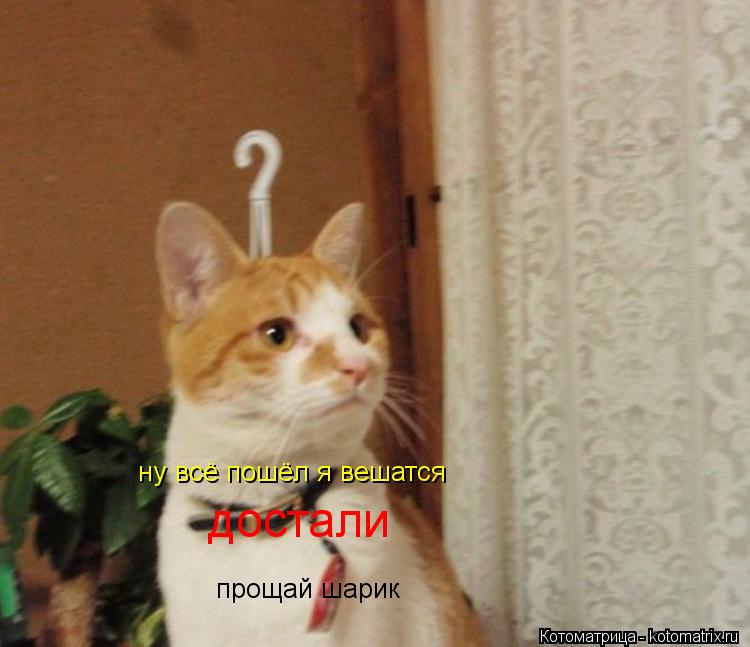ну всё пошёл я вешатся достали прощай шарик... Котоматрица: ну всё пошёл я вешатся достали прощай шарик