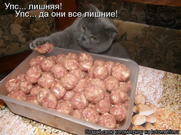 Упс... лишняя! Упс... да они все лишние!... Котоматрица: Упс... лишняя! Упс... да они все лишние!