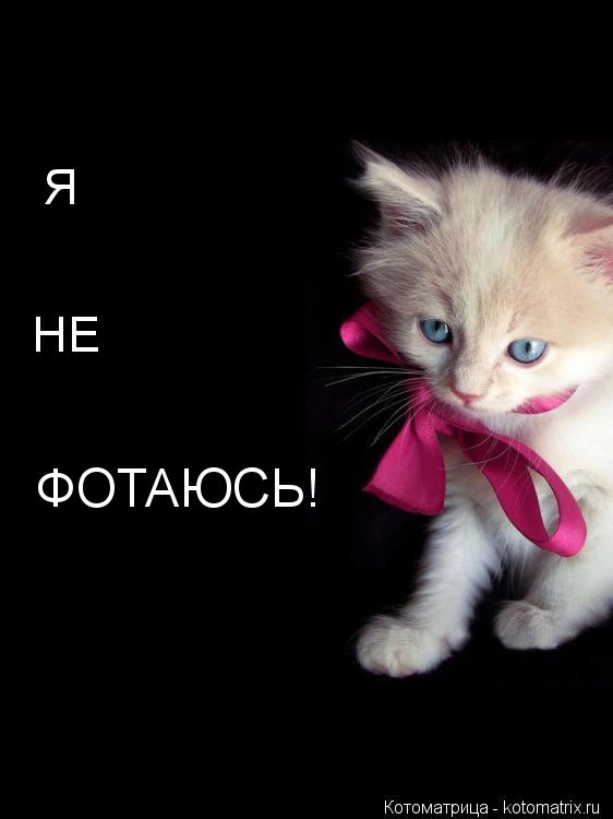 Котоматрица: ФОТАЮСЬ! Я НЕ