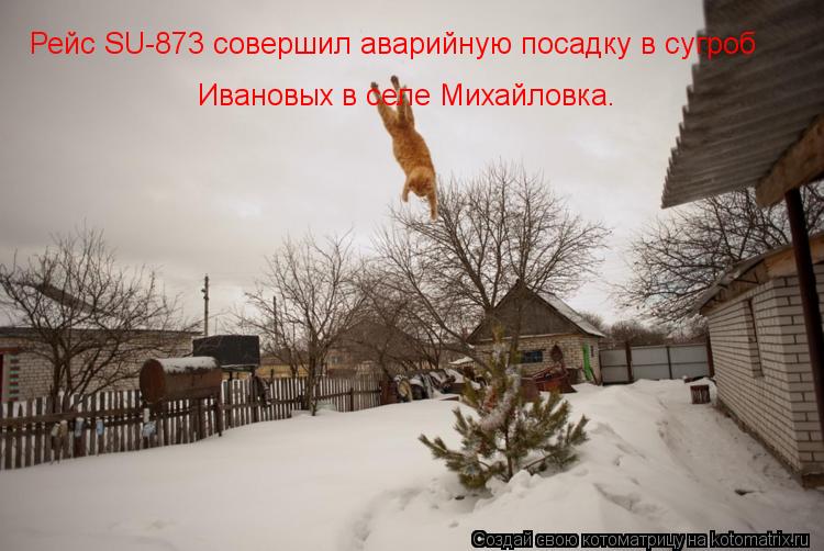 Рейс SU-873 совершил аварийную посадку в сугроб Ивановых в селе Михайловка.... Котоматрица: Рейс SU-873 совершил аварийную посадку в сугроб Ивановых в селе Михайловка.