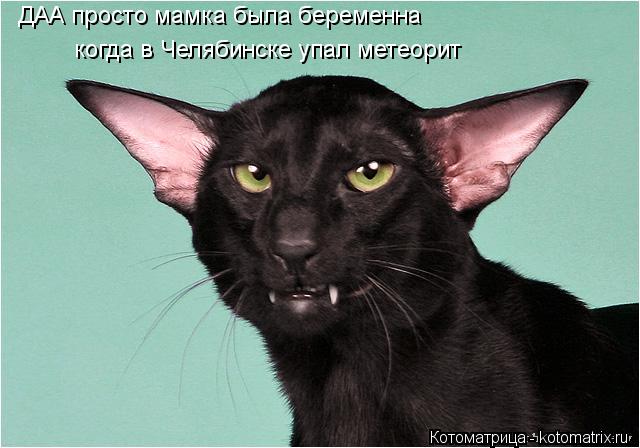 ДАА просто мамка была беременна когда в Челябинске упал метеорит... Котоматрица: ДАА просто мамка была беременна когда в Челябинске упал метеорит