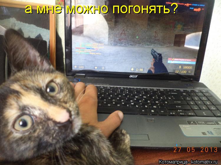 а мне можно погонять?... Котоматрица: а мне можно погонять?