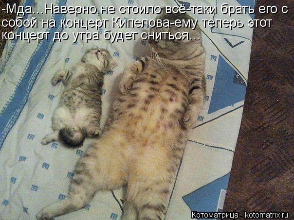 -Мда...Наверно,не стоило всё-таки брать его с собой на концерт Кипелова-ему теперь этот концерт до у... Котоматрица: -Мда...Наверно,не стоило всё-таки брать его с собой на концерт Кипелова-ему теперь этот концерт до утра будет сниться...