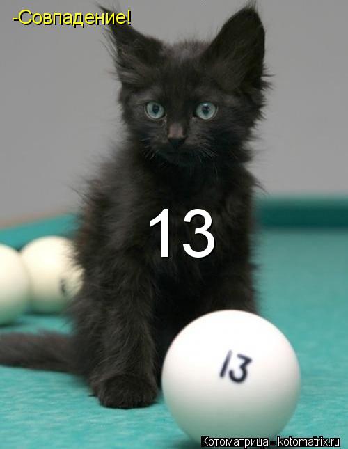 13 -Совпадение!... Котоматрица: 13 -Совпадение!