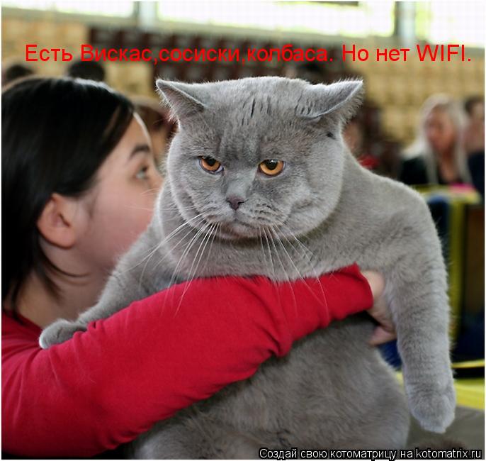 Есть Вискас,сосиски,колбаса. Есть Вискас,сосиски,колбаса. Но нет WIFI. Есть Вискас,сосиски,колбаса. ... Котоматрица: Есть Вискас,сосиски,колбаса. Есть Вискас,сосиски,колбаса. Но нет WIFI. Есть Вискас,сосиски,колбаса. Но нет WIFI.