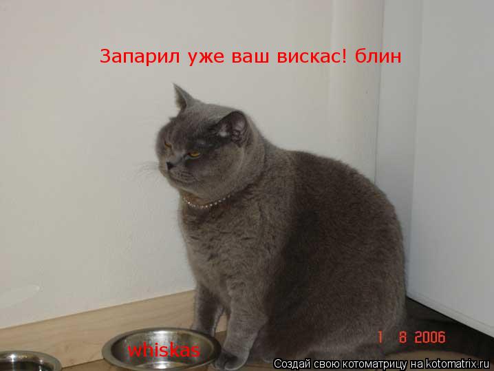 whiskas Запарил уже ваш вискас! блин... Котоматрица: whiskas Запарил уже ваш вискас! блин