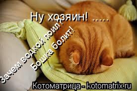 Ну хозяин! ..... Зачем водкой поил? Бошка болит!... Котоматрица: Ну хозяин! ..... Зачем водкой поил? Бошка болит!