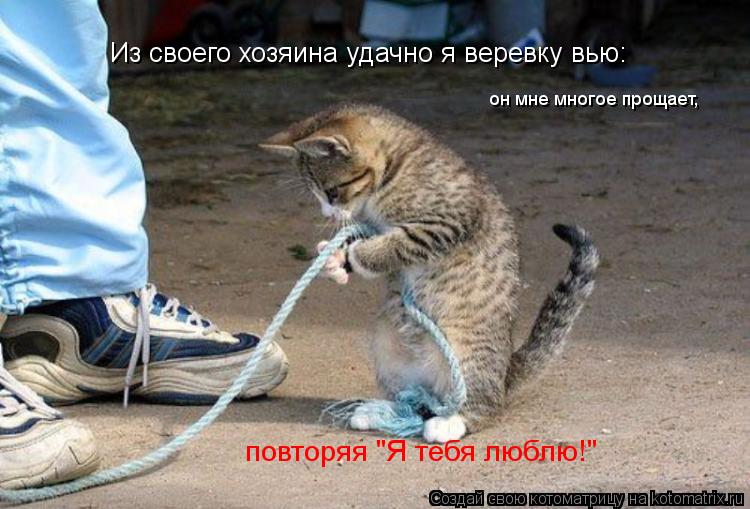 Из своего хозяина удачно я веревку вью: он мне многое прощает, повторяя "Я тебя люблю!"... Котоматрица: Из своего хозяина удачно я веревку вью: он мне многое прощает, повторяя "Я тебя люблю!"