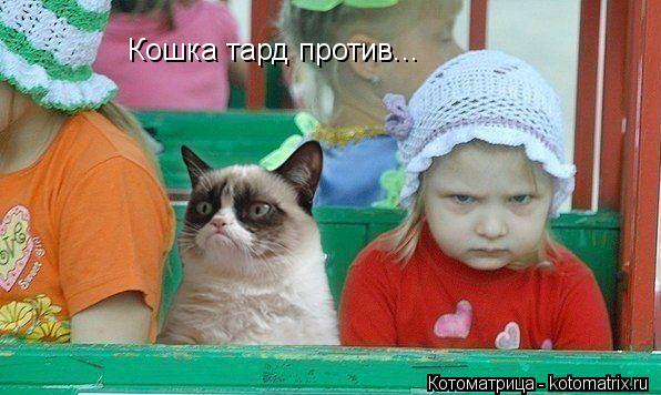 Кошка тард против...... Котоматрица: Кошка тард против...
