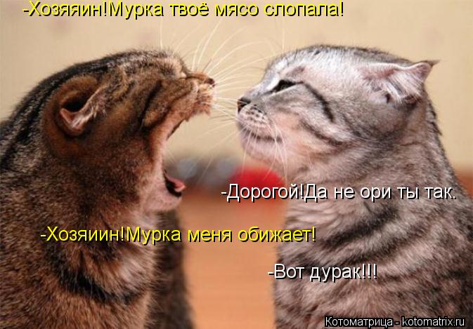 -Хозяяин!Мурка твоё мясо слопала! -Дорогой!Да не ори ты так. -Хозяиин!Мурка меня обижает! -Вот дурак!... Котоматрица: -Хозяяин!Мурка твоё мясо слопала! -Дорогой!Да не ори ты так. -Хозяиин!Мурка меня обижает! -Вот дурак!!!