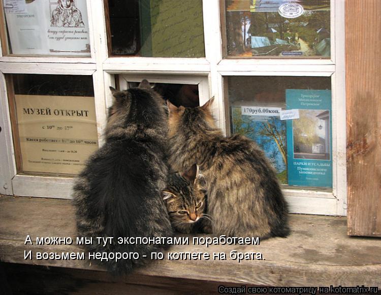 А можно мы тут экспонатами поработаем И возьмем недорого - по котлете на брата.... Котоматрица: А можно мы тут экспонатами поработаем И возьмем недорого - по котлете на брата.