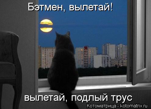 Бэтмен, вылетай! вылетай, подлый трус... Котоматрица: Бэтмен, вылетай! вылетай, подлый трус