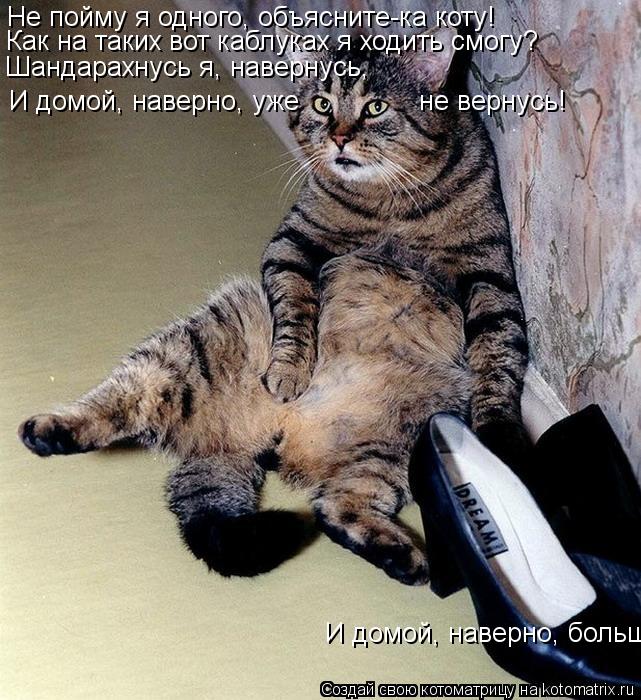 Не пойму я одного, объясните-ка коту! Как на таких вот каблуках я ходить смогу? Шандарахнусь я, навер... Котоматрица: Не пойму я одного, объясните-ка коту! Как на таких вот каблуках я ходить смогу? Шандарахнусь я, навернусь, И домой, наверно, больше н