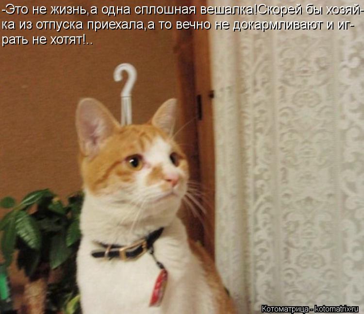 -Это не жизнь,а одна сплошная вешалка!Скорей бы хозяй- ка из отпуска приехала,а то вечно не докармлив... Котоматрица: -Это не жизнь,а одна сплошная вешалка!Скорей бы хозяй- ка из отпуска приехала,а то вечно не докармливают и иг- рать не хотят!..