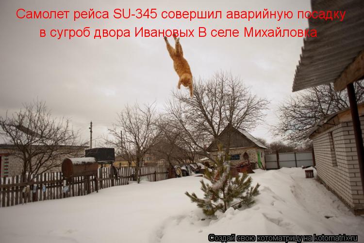 Самолет рейса SU-345 совершил аварийную посадку в сугроб двора Ивановых В селе Михайловка... Котоматрица: Самолет рейса SU-345 совершил аварийную посадку в сугроб двора Ивановых В селе Михайловка