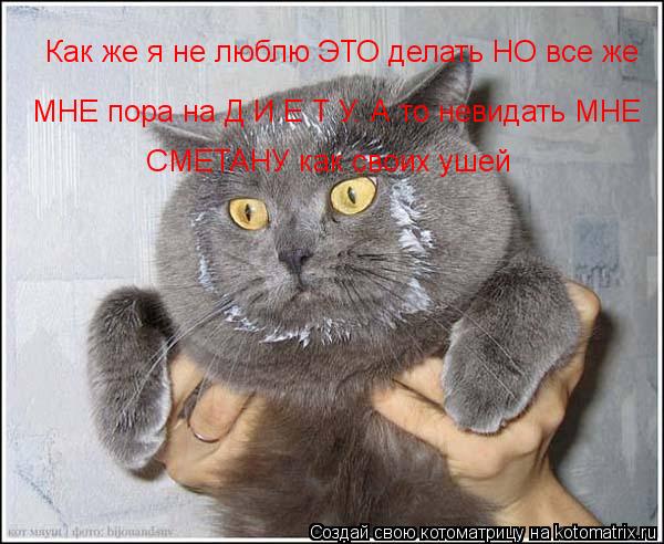 Как же я не люблю ЭТО делать НО все же МНЕ пора на Д И Е Т У. А то невидать МНЕ СМЕТАНУ как своих уш... Котоматрица: Как же я не люблю ЭТО делать НО все же МНЕ пора на Д И Е Т У. А то невидать МНЕ СМЕТАНУ как своих ушей