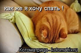как же я хочу спать !... Котоматрица: как же я хочу спать !