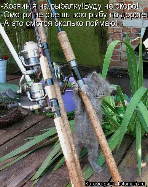 -Хозяин,я на рыбалку!Буду не скоро! -Смотри не съешь всю рыбу по дороге! -А это смотря сколько поймаю... Котоматрица: -Хозяин,я на рыбалку!Буду не скоро! -Смотри не съешь всю рыбу по дороге! -А это смотря сколько поймаю!