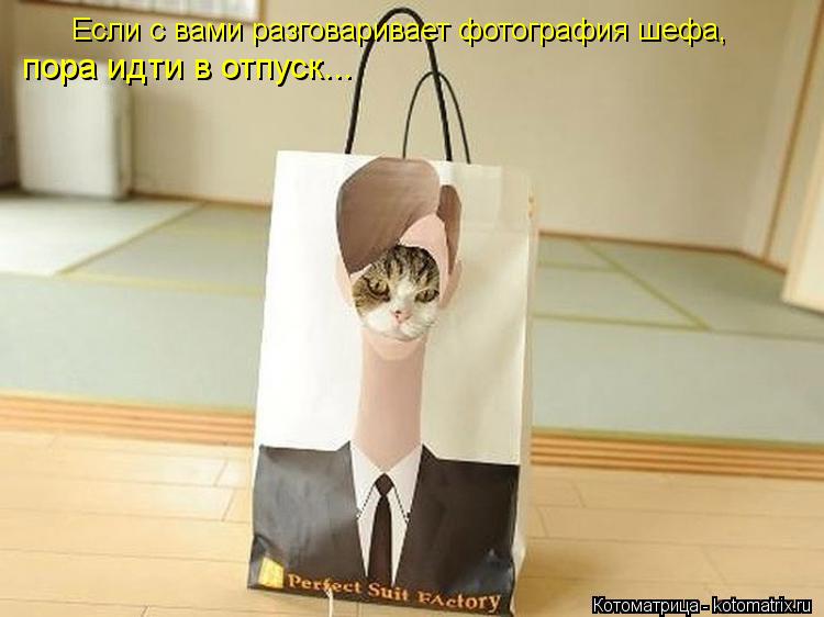 Котоматрица: Если с вами разговаривает фотография шефа, пора идти в отпуск...