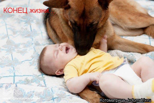 КОНЕЦ жизни...... Котоматрица: КОНЕЦ жизни...