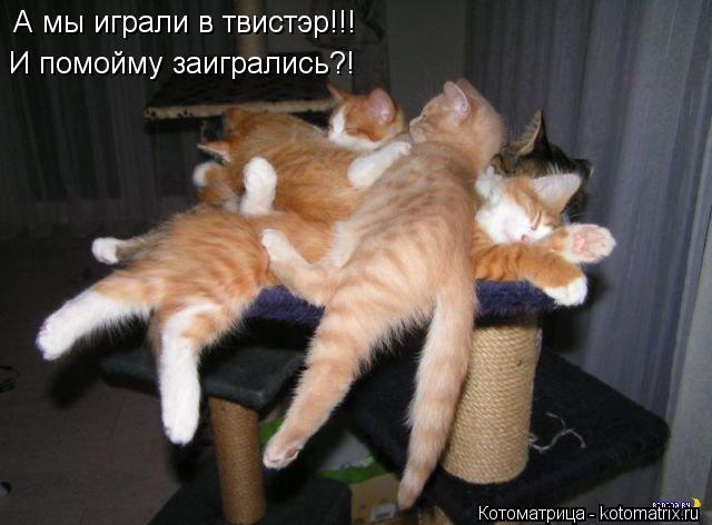 Котоматрица: А мы играли в твистэр!!! И помойму заигрались?!