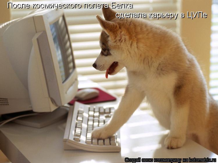 После космического полета Белка сделала карьеру в ЦУПе... Котоматрица: После космического полета Белка сделала карьеру в ЦУПе