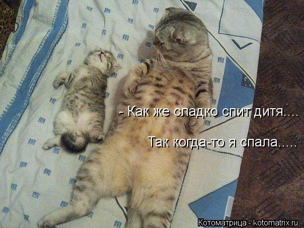 - Как же сладко спит дитя.... Так когда-то я спала........ Котоматрица: - Как же сладко спит дитя.... Так когда-то я спала.....